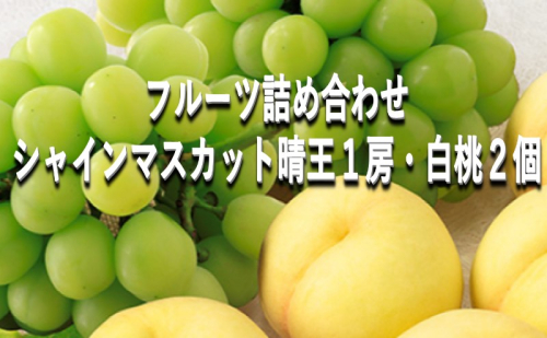 桃 ぶどう 【2025年 早期受付】 フルーツ詰め合わせ シャインマスカット 晴王 1房・ 白桃 2個 もも ブドウ 葡萄 岡山県産 国産 フルーツ 果物 ギフト 1554897 - 岡山県玉野市