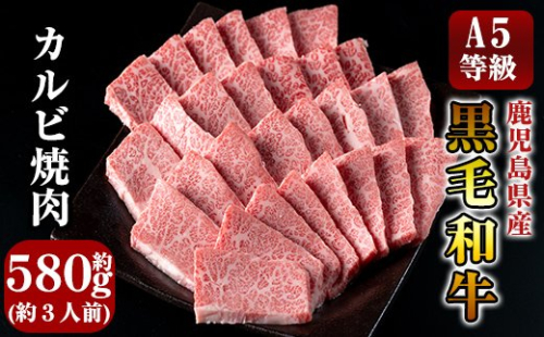 C-014 鹿児島県産黒毛和牛＜A5等級＞黒毛和牛カルビ焼肉用約580g【きりしま畜産】 155497 - 鹿児島県霧島市