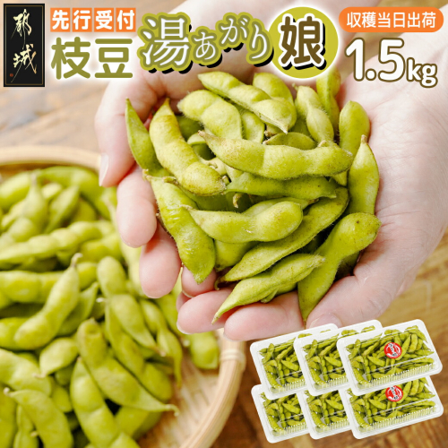 【先行受付】都城産枝豆(湯あがり娘)1.5kg(250g×6P)_11-B402-7 1555049 - 宮崎県都城市