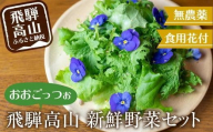 【12月配送】飛騨高山野菜『おおごっつぉ』詰合せ 葉物野菜 葉物 ミックスリーフ わさびな フラワーサラダ 無農薬野菜 無農薬 発送時期が選べる HS001VC12