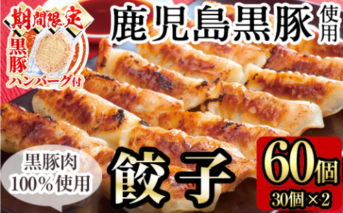 A-109 ＜期間限定！黒豚ハンバーグ付＞鹿児島黒豚餃子60個(30個×2)【九面屋】 155532 - 鹿児島県霧島市