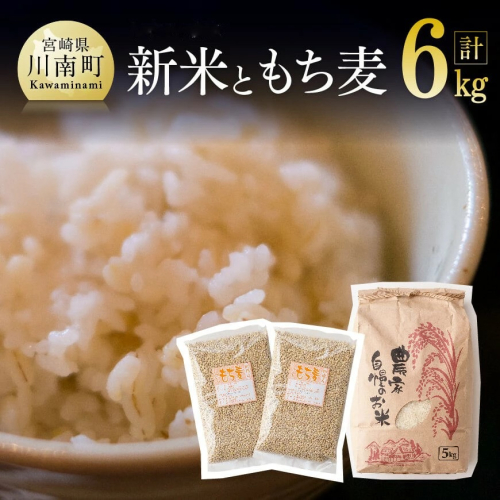 令和6年産 お米5kg(夏の笑み)ともち麦500g×2袋 【 宮崎県産 米 こめ 精米 おにぎり 麦 穀物 】 1555361 - 宮崎県川南町