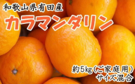 [先行予約][春みかん]和歌山有田産カラマンダリン約5kg(サイズ混合 ご家庭用)※2026年4月上旬〜5月中旬頃に順次発送予定(お届け日指定不可)[tec937]