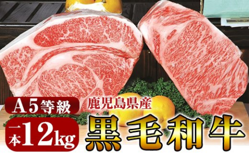 P-702 鹿児島県産黒毛和牛＜A5等級＞黒毛和牛特選サーロイン1本約12kg【きりしま畜産】牛肉 国産 ステーキ すき焼き ブロック肉 155539 - 鹿児島県霧島市