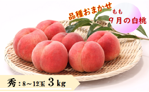 08-08-009　9月品種おまかせ白桃 3kg