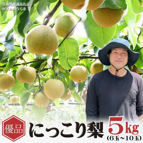 【2026年9月下旬から発送開始】《先行予約》《優品》 にっこり梨 5kg 6玉～10玉（茨城県共通返礼品／かすみがうら市） 鈴木農園 産地直送 フルーツ 甘い 直送 茨城 限定 にっこり [ED002sa] 1555598 - 茨城県桜川市