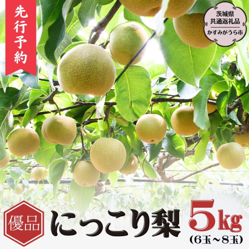 【先行予約】《優品》にっこり梨 5kg 6玉～8玉（茨城県共通返礼品／かすみがうら市） 鈴木農園 産地直送 フルーツ 甘い 直送 茨城 限定 にっこり [ED002sa] 1555598 - 茨城県桜川市