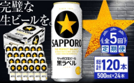 【全5回定期便】サッポロ生ビール 黒ラベル 500ml×24缶　合計120缶 日田市 / 株式会社綾部商店 [ARDC079]