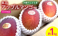 2025年発送【沖縄やんばる産】約1kg　良品アップルマンゴー（Ms mango farm） 南国 南国フルーツ 先行予約 期間限定 沖縄 甘味 糖度 フルーツ 果物 果実 プレゼント ギフト トロピカル 数量限定 予約 おすすめ くだもの 太陽 やんばる 自然