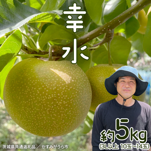 【2026年8月中旬から発送開始】《先行予約》 幸水 梨 約 5kg 10玉～14玉 【 茨城県共通返礼品 ／ かすみがうら市 】 なし 鈴木農園 産地直送 フルーツ 甘い 直送 茨城 限定 [ED003sa] 1555785 - 茨城県桜川市