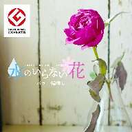 SL0198　水のいらない花　ゼロフラワー「バラ一輪挿し」