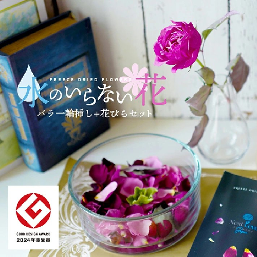 SL0210　水のいらない花　ゼロフラワー「バラ一輪挿し＆花びらセット」 1555791 - 山形県酒田市