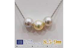 美しいあこや真珠が生まれる為には、海水温や波の高さなどいくつもの厳しい海の条件をクリアする必要があります。その条件の中、環境の変化に弱いあこや貝が立派に育つよう、職人たちが日々貝の様子を観察し、管理を