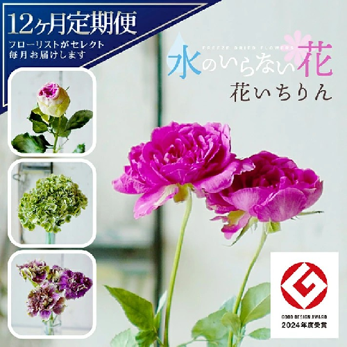 SL0225　【12回定期便】水のいらない花　ゼロフラワー定期便「花いちりん」 1555839 - 山形県酒田市