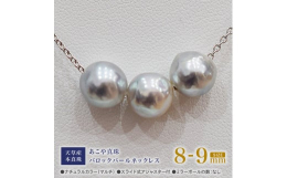 美しいあこや真珠が生まれる為には、海水温や波の高さなどいくつもの厳しい海の条件をクリアする必要があります。その条件の中、環境の変化に弱いあこや貝が立派に育つよう、職人たちが日々貝の様子を観察し、管理を