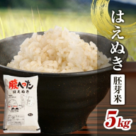 SA2419　令和6年産【胚芽米】はえぬき　5kg×1袋　 YA