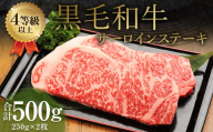 くまもと 黒毛和牛 サーロインステーキ 500g（250g×2枚）牛肉 牛 肉