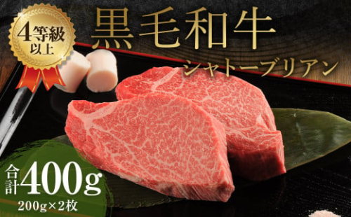 くまもと 黒毛和牛 シャトーブリアン 400g（200g×2枚）牛肉 牛 肉 1556063 - 熊本県益城町