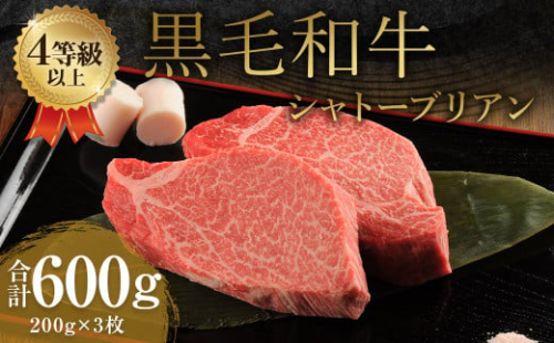 くまもと 黒毛和牛 シャトーブリアン 600g（200g×3枚）牛肉 牛 肉 1556064 - 熊本県益城町