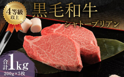 くまもと 黒毛和牛 シャトーブリアン 1.0kg（200g×5枚）牛肉 牛 肉 1556066 - 熊本県益城町