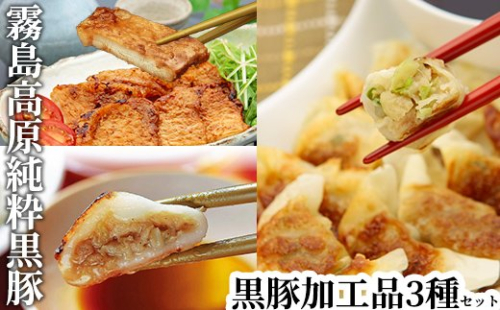 A-043 霧島高原純粋黒豚加工品セット(3種)【霧島高原ロイヤルポーク】 155612 - 鹿児島県霧島市