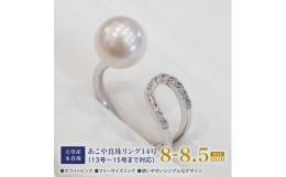 美しいあこや真珠が生まれる為には、海水温や波の高さなどいくつもの厳しい海の条件をクリアする必要があります。その条件の中、環境の変化に弱いあこや貝が立派に育つよう、職人たちが日々貝の様子を観察し、管理を