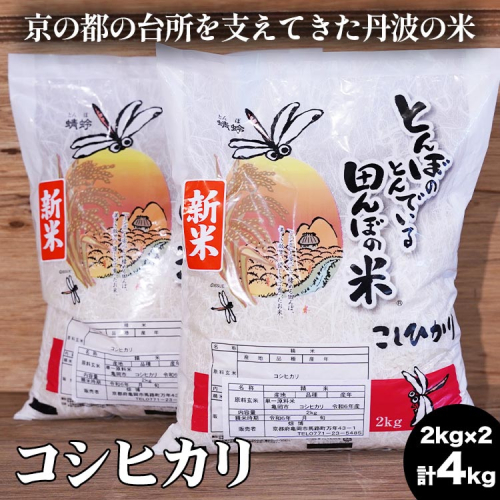 【数量限定】新米 令和6年産 コシヒカリ 2kg×2 計4kg 精米 コメ 送料無料 ごはん 白米 ご飯 国産 こしひかり 1556325 - 京都府亀岡市