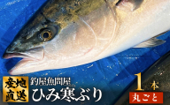 ひみ寒ぶり1本丸ごと 富山県 氷見 氷見漁港 能登 寒ブリ １本 天然鰤 サク 丸ごと 釣屋魚問屋 天然 鮮魚 ブリ 産地直送