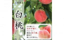 山形県産白桃！ やや硬めでも柔らかくしても甘〜い食感は最高！自家培養の光合成細菌（土の善玉菌）、酵母エキス、カルシウム、ミネラル、苦土、アミノ酸等を土に散布したこだわりの土壌つくり。より多くの葉っぱを