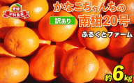 訳あり 南柑20号 6kg ふるくとファーム  先行予約 かなこちゃんち 温州みかん 果物 くだもの フルーツ 柑橘 みかん 蜜柑 mikan ビタミンC たっぷり 愛媛ミカン 愛媛蜜柑 愛媛みかん 農家直送 産地直送 数量限定 国産 愛媛 宇和島 B010-037005