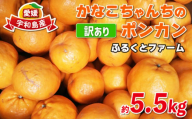 訳あり ポンカン みかん 約5.5kg ふるくとファーム かなこちゃん 先行予約 サイズ混合 わけあり 果物 くだもの フルーツ 柑橘 かんきつ 人気 蜜柑 濃厚 甘い 甘味 農家直送 産地直送 数量限定 国産 愛媛 宇和島 B010-037006