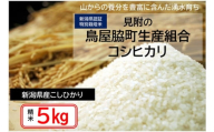 米 5kg 新潟県産 コシヒカリ 特別栽培米 令和6年産 「鳥屋脇町生産組合コシヒカリ」 精米したてをお届け 新潟のど真ん中見附市 こしひかり 県認証米