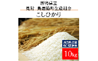 米 10kg 新潟県産 コシヒカリ 特別栽培米 令和6年産 「鳥屋脇町生産組合コシヒカリ」 精米したてをお届け 新潟のど真ん中見附市 こしひかり 県認証米