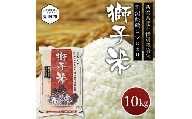 米 10kg 新潟県産 コシヒカリ 特別栽培米 令和6年産 「獅子米」 精米したてをお届け 新潟のど真ん中見附市 こしひかり 県認証米