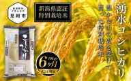 新潟 特別栽培米 令和6年産 コシヒカリ 「湧水コシヒカリ」 精米 60kg ( 10kg×6カ月 ）定期便 精米 したてを お届け 新潟 のど真ん中 見附市 こしひかり 米 お米 白米 国産 ごはん ご飯 県認証米 安心安全 ブランド 品集