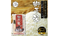 新潟 特別栽培米 令和6年産 コシヒカリ 「獅子米」 精米 30kg ( 5kg×6カ月 ）定期便 精米 したてを お届け 新潟 のど真ん中 見附市 こしひかり 米 お米 白米 国産 ごはん ご飯 県認証米 安心安全