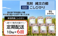 令和6年産【6か月連続お届け】新潟産コシヒカリ（県認証特別栽培米）「縄文の郷コシヒカリ」精米60kg定期便（5kg×2袋×6か月）