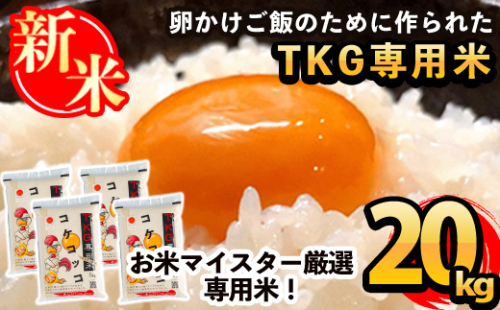 D-052 《令和7年産新米》日本初！卵かけご飯専用米!コケコッコ(TKG専用米)計20kg(5kg×4パック)【山口米店】お米 精米 白米 米 お米 こめ コメ 155715 - 鹿児島県霧島市