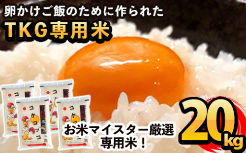 D-052 《令和7年産》日本初！卵かけご飯専用米!コケコッコ(TKG専用米)計20kg(5kg×4パック)【山口米店】お米 精米 白米 米 お米 こめ コメ 155715 - 鹿児島県霧島市