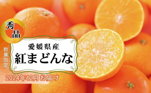 愛媛県産 紅まどんな「秀品」JA正規品 約2.7kg 数量限定30箱 12月～順次発送【柑橘 甘い 高級 極上 直送 正規みかん 愛果28号】 1557291 - 愛媛県東温市