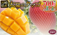 ＜宮崎県産 太陽のタマゴ A等級 A5Lサイズ×1玉（約700g）＞2025年4月下旬～2025年6月下旬迄に順次出荷【 太陽のタマゴ 完熟マンゴー 完熟 マンゴー フルーツ トロピカルフルーツ 果物 くだもの おいしい 美味しい 甘い あまい 】