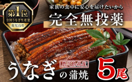 鰻は日本の食文化に定着し、滋養強壮に良いとされております。弊社では、無投薬にこだわり、餌や飼育環境の改良により良質な鰻を提供しております。うなぎ養殖・生産量日本一の鹿児島県より、お届け致しますので、是