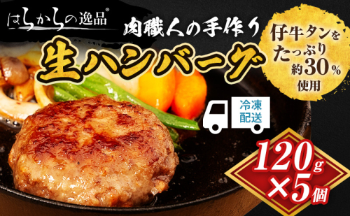 ハンバーグ 肉職人の手作り生ハンバーグ 5個 セット はらからの逸品 牛肉 豚肉 合い挽き 小分け 冷凍 1557395 - 宮城県亘理町