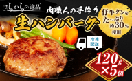 ハンバーグ 肉職人の手作り生ハンバーグ 5個 セット はらからの逸品 牛肉 豚肉 合い挽き 小分け 冷凍