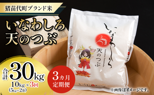 新米　定期便 【3ヵ月連続】猪苗代町ブランド米 いなわしろ天のつぶ 10kg 米 お米 精米 白米 福島 大粒 寿司 和食 1557409 - 福島県猪苗代町