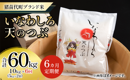 新米　定期便 【6ヵ月連続】猪苗代町ブランド米 いなわしろ天のつぶ 10kg 米 お米 精米 白米 福島 大粒 寿司 和食 1557410 - 福島県猪苗代町