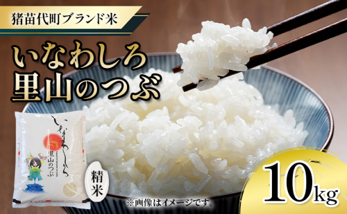 新米　猪苗代町ブランド米 いなわしろ里山のつぶ( 精米 ) 10kg お米 白米 福島 和食 1557417 - 福島県猪苗代町