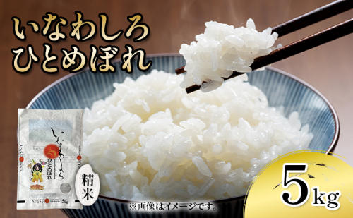 いなわしろひとめぼれ( 精米 ) 5kg お米 白米 福島 やわらかい 和食 1557419 - 福島県猪苗代町