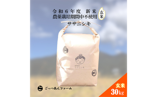 令和6年度産 新米 【どすこい米】自然栽培 ササニシキ 玄米 30kg 1557428 - 福島県猪苗代町