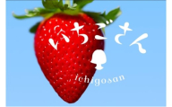 [№5353-0578]いちご いちごさん4パック 苺 イチゴ 果物 フルーツ デザート ※配送不可:離島